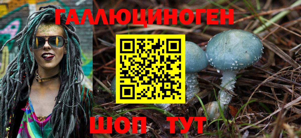Галлюциногенные грибы Cubensis Прохладный